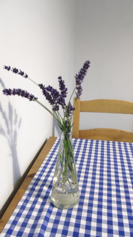 Apartament Aleksander Ciechocinek Dış mekan fotoğraf